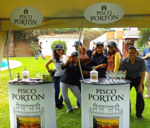 Counters Pisco Porton